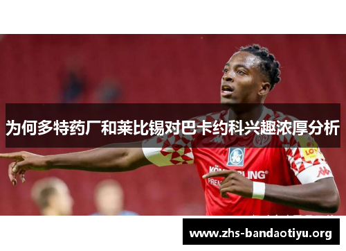 为何多特药厂和莱比锡对巴卡约科兴趣浓厚分析 为何多特药厂和莱比锡对巴卡约科兴趣浓厚分析