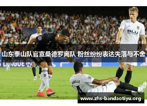 山东泰山队官宣桑德罗离队 粉丝纷纷表达失落与不舍 山东泰山队官宣桑德罗离队 粉丝纷纷表达失落与不舍