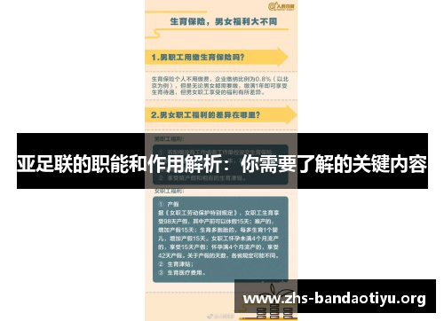 亚足联的职能和作用解析:你需要了解的关键内容 亚足联的职能和作用解析:你需要了解的关键内容