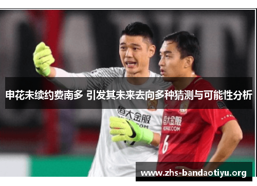 申花未续约费南多 引发其未来去向多种猜测与可能性分析 申花未续约费南多 引发其未来去向多种猜测与可能性分析